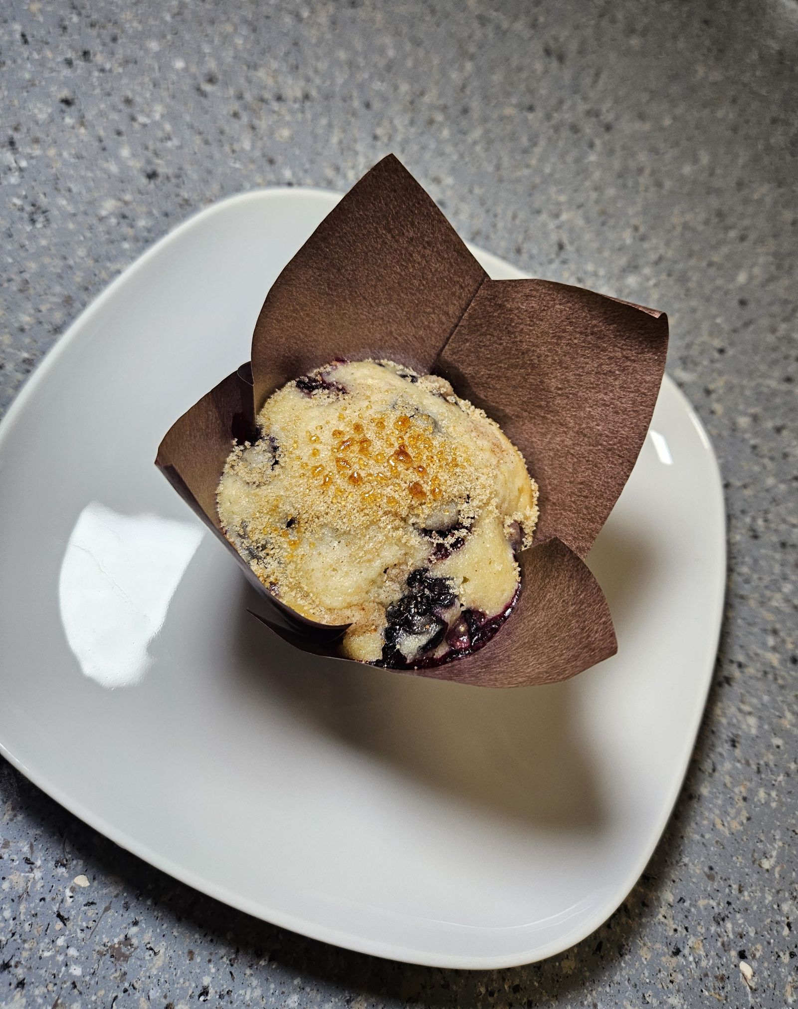 Jumbo Blueberry Muffin